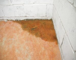 wood flooring issue at home in Washington Metropolitan Area 